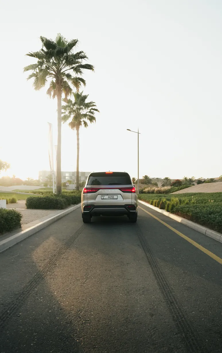 SUV driving down a palm-lined road in soft evening light